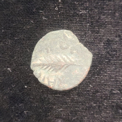 59-62 AD Porcius Festus Bronze Prutah of Judea Ancient Roman Coin *PRICED BY CAM
