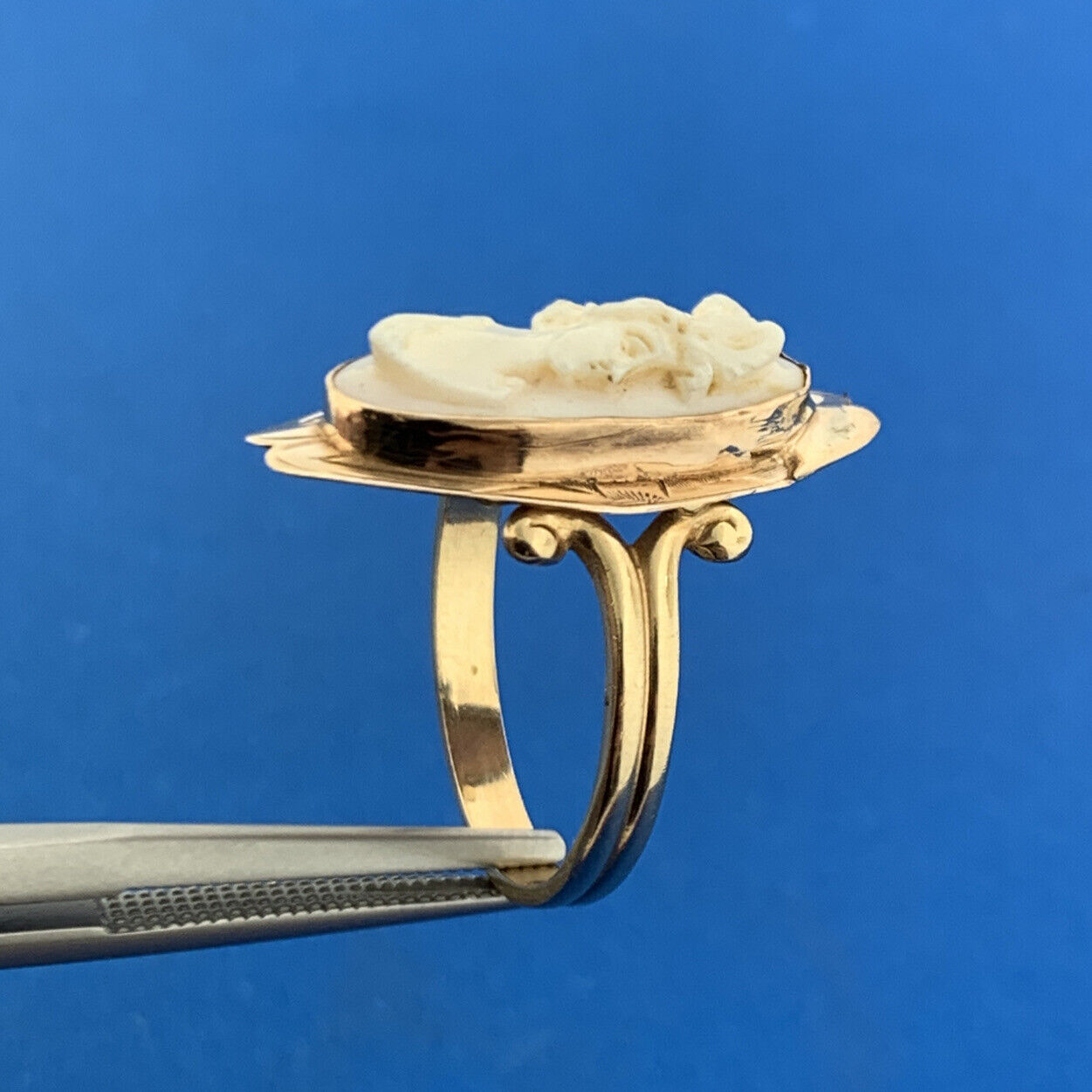 Gorgeous 14k Yellow Gold White Cameo Shell  Women's Bust Finger Ring Size 7