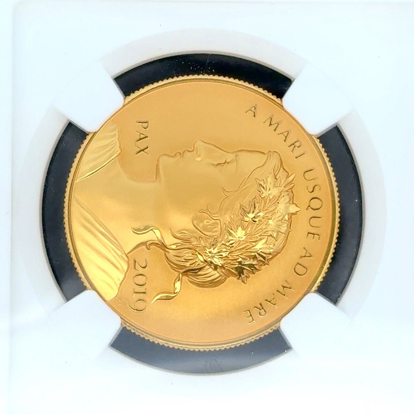 2019 1oz Canada Peace & Liberty High Relief NGC PF70 REV PF Official Gold Medal