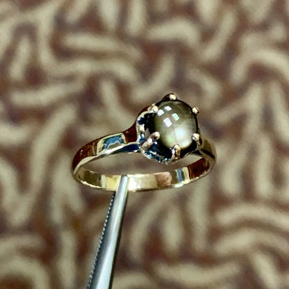 14K Yellow Gold Black Star Sapphire Solitaire Cocktail Ring