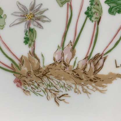 1986 Limited Edition Lucile Parker Bloodroot Promotional Porcelain Plate