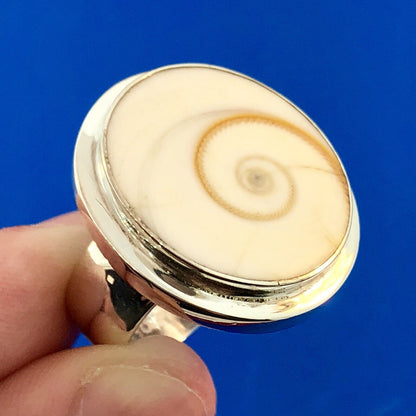 Designer Sterling Silver Natural Shiva Eye Snail Shell Protection Statement Ring