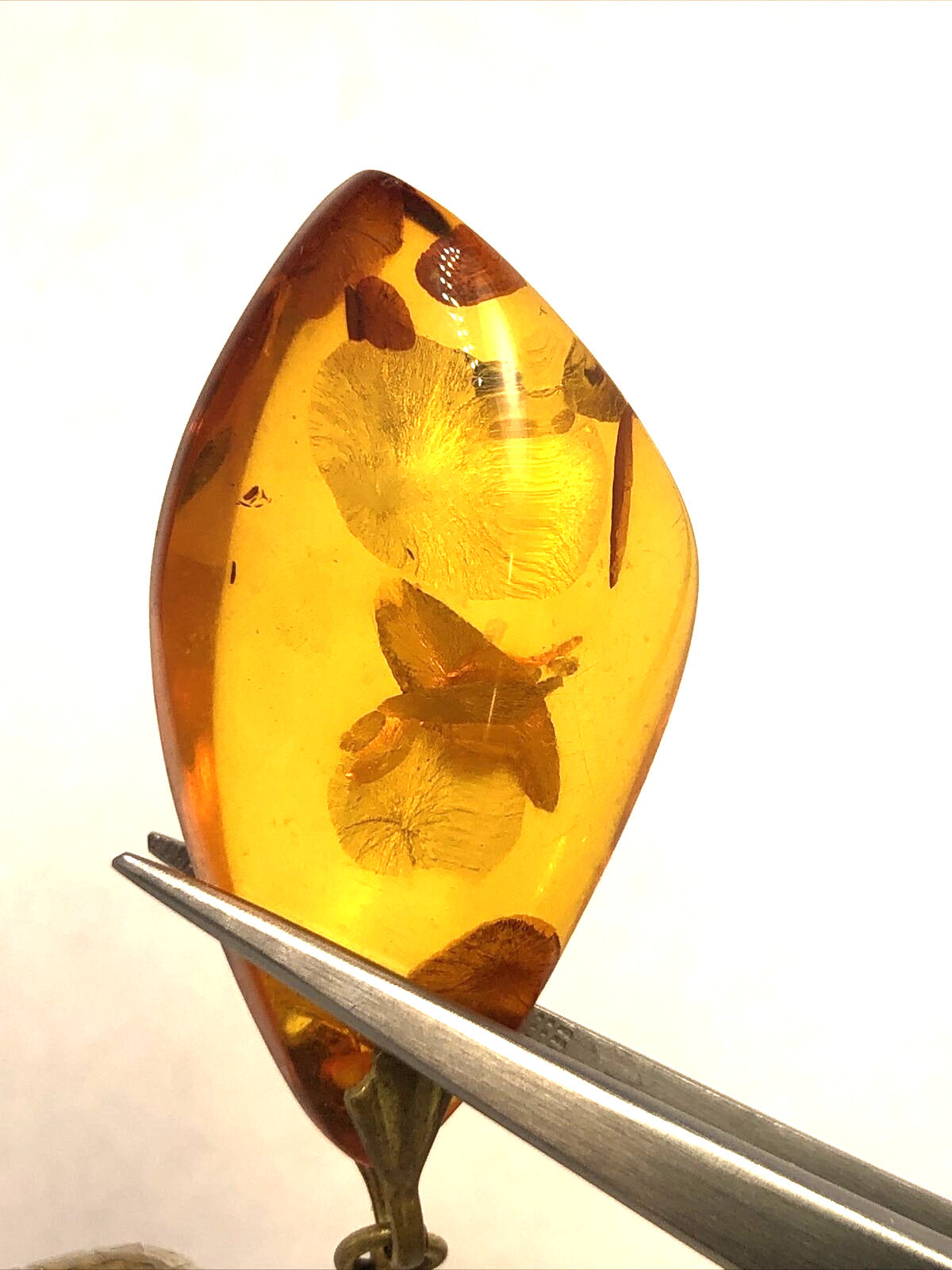 Designer Citation Gold Tone Chain Amber Statement Pendant Necklace