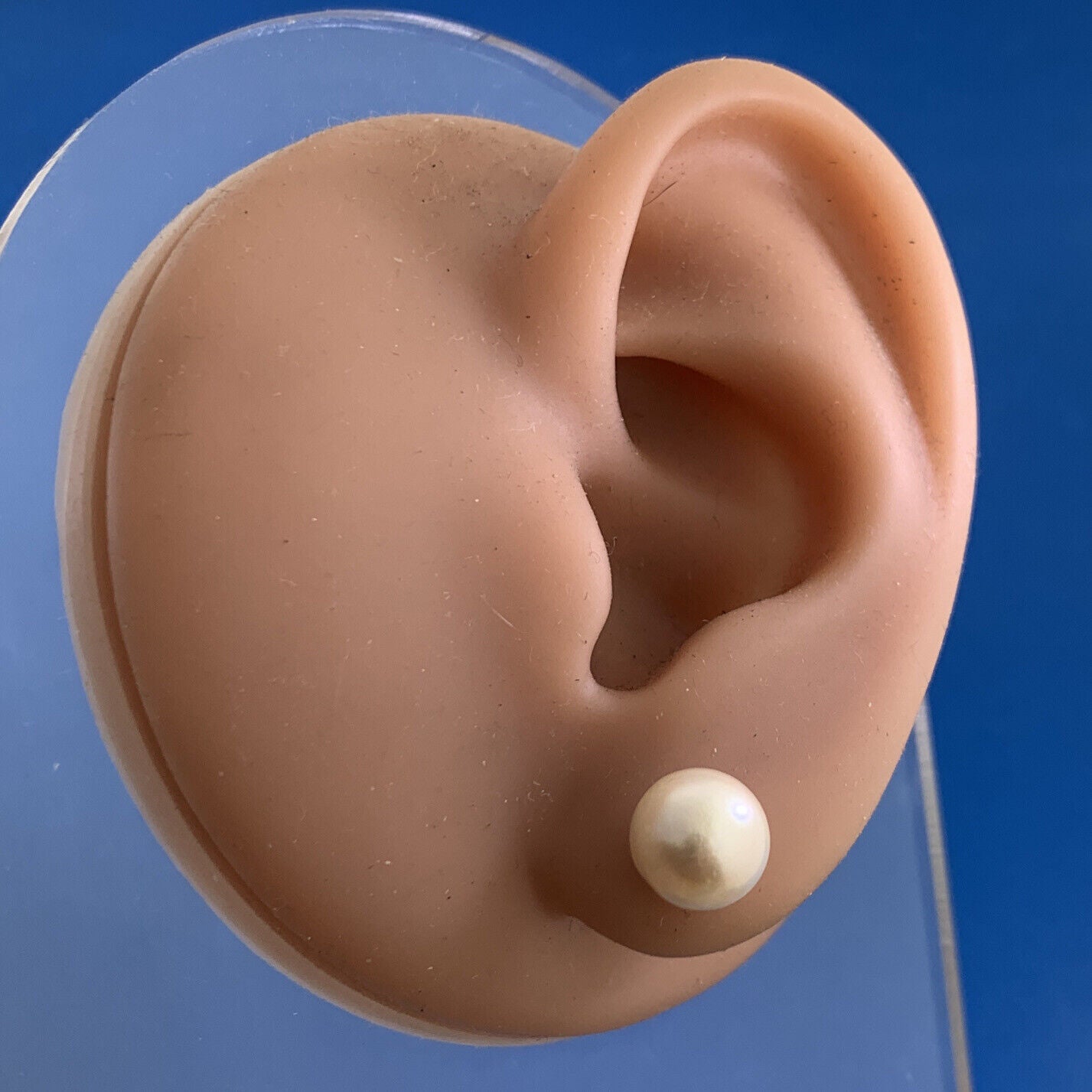 Designer 14K Yellow Gold White Pearl Solitaire Statement Stud Earrings 7.65mm