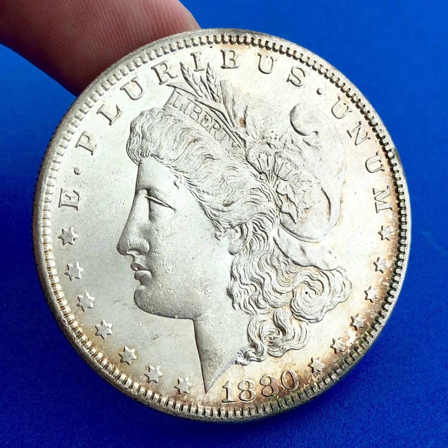 1880 S Morgan Silver Dollar San Francisco Beauty Brilliant Uncirculated Coin