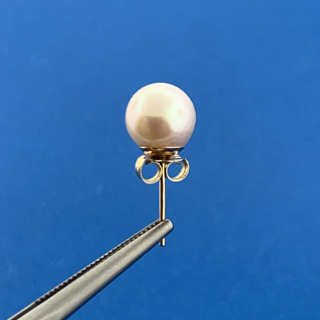 Gorgeous 14k Yellow Gold 8mm White Pearl Friction Back Stud Earrings