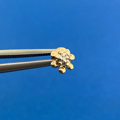 Retro JCM 10K Yellow White Gold Diamond Accent Buttercup Starter Stud Earrings