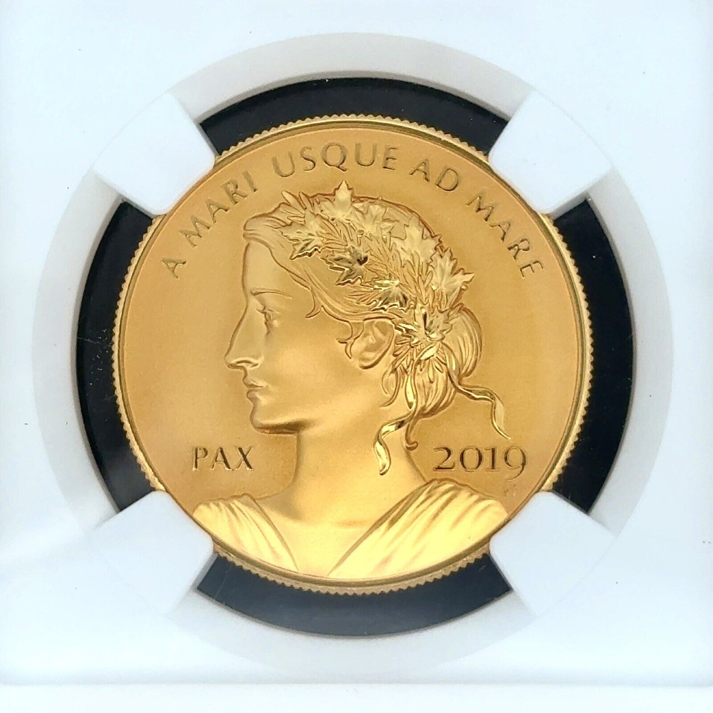 2019 1oz Canada Peace & Liberty High Relief NGC PF70 REV PF Official Gold Medal