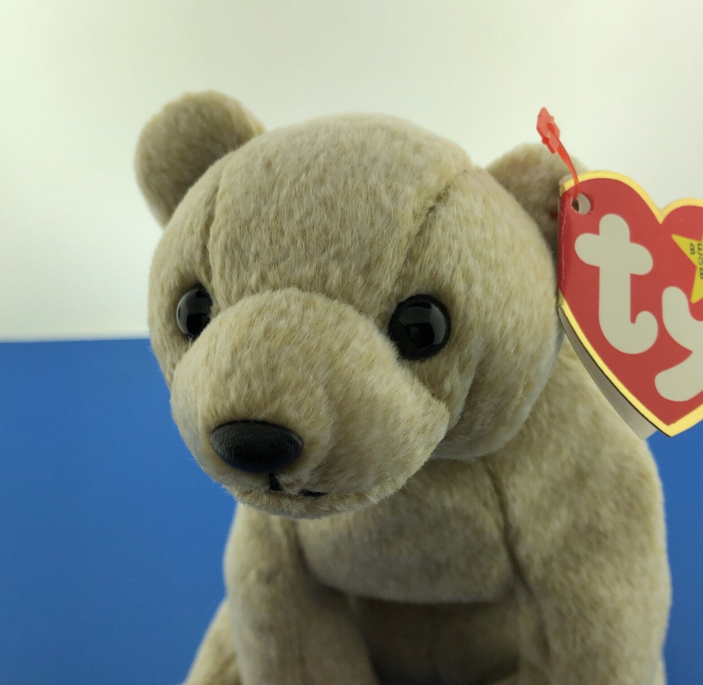 1999 TY Beanie Baby Almond The Bear DOB 04-18-1999 Rare Tag Error Mint - 4246