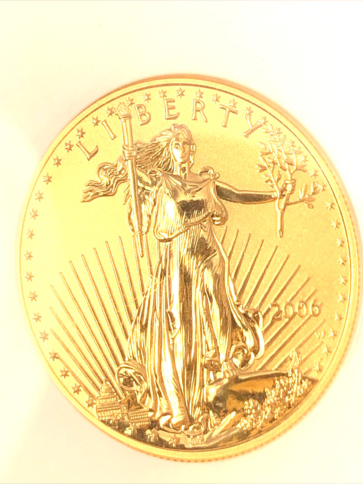 2006 W $50 American Eagle 1 Oz Gold Reverse Proof 20 Anniversary NGC PF70 Coin