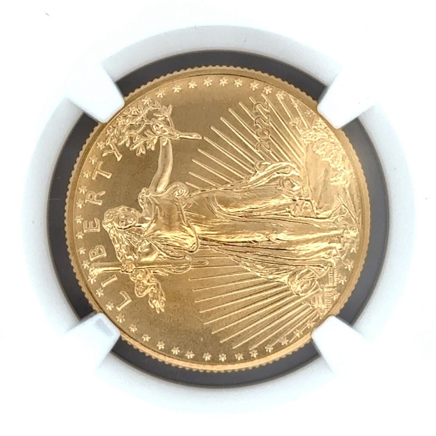 2022 1/2 oz American Gold Eagle MS-70 NGC (Earle Release) Mike Castle Signature