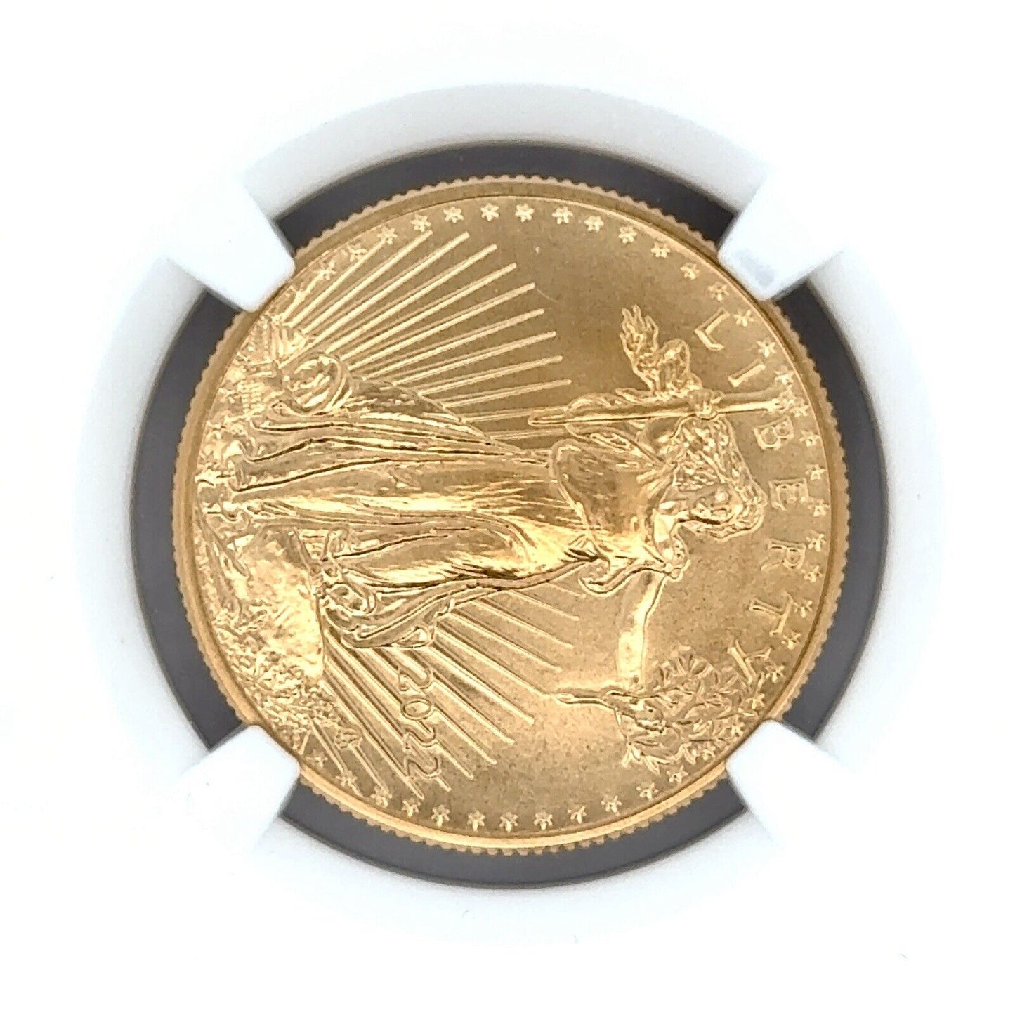 2022 1/2 oz American Gold Eagle MS-70 NGC (Earle Release) Mike Castle Signature