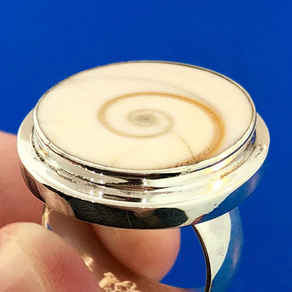 Designer Sterling Silver Natural Shiva Eye Snail Shell Protection Statement Ring