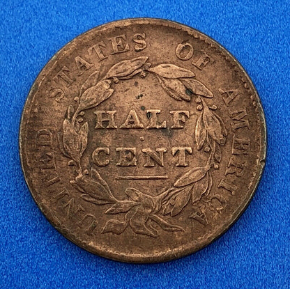 1828 P Classic Head Thirteen Stars Copper Half Cent Early US Copper XF Details