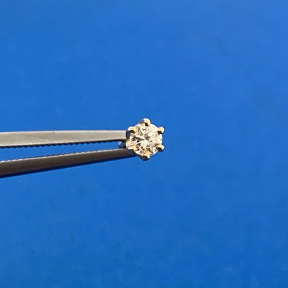 14K Yellow Gold Round Diamond Buttercup Stud Starter Earrings