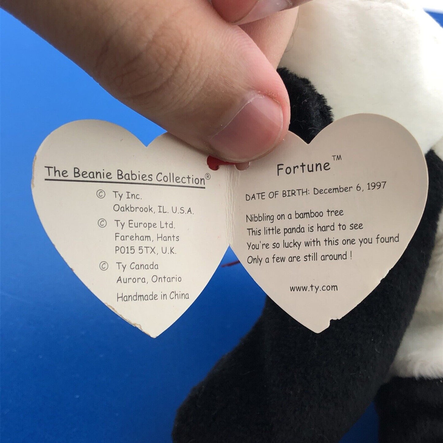 1997 TY Beanie Baby Fortune The Panda Near Mint Condition Retired Errors- 4196