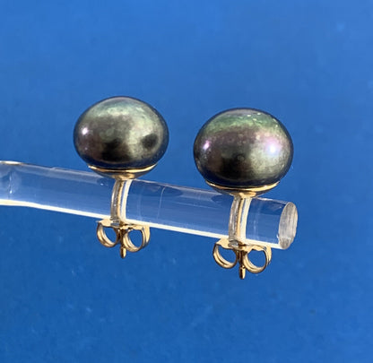 Designer 14K Yellow Gold Tahitian Pearl Statement Stud Earrings 10.5mm