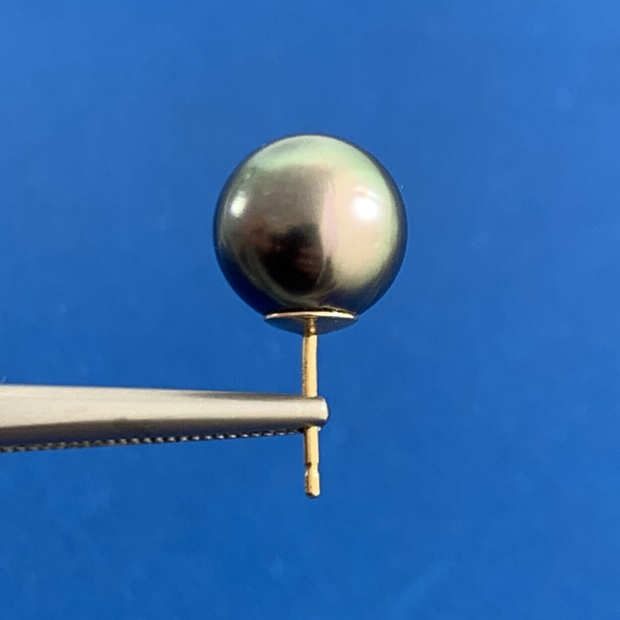 14K Yellow Gold Tahitian Pearl Solitaire Statement Stud Earrings 9.75mm