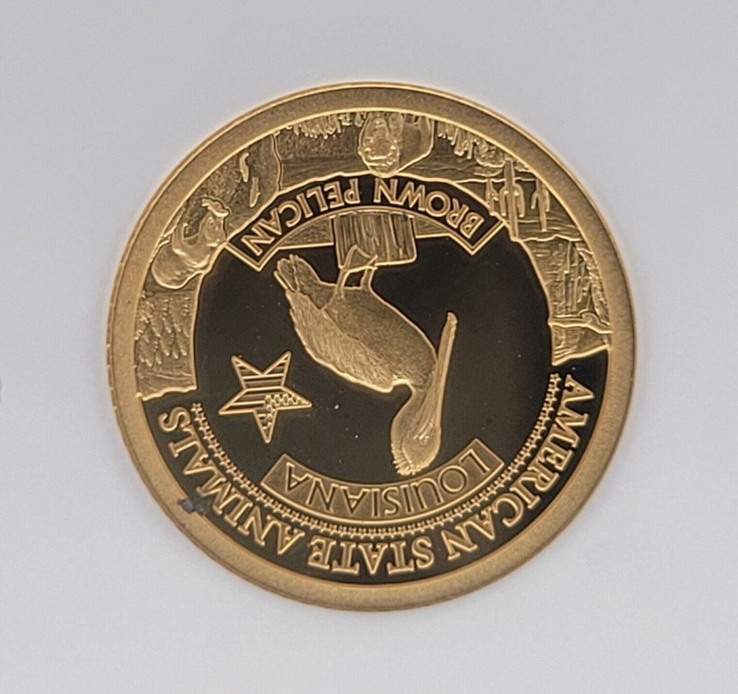 2021 $5 Cook Islands NGC PF70 Proof Cameo .999 Gold 1/2g Louisiana Brown Pelican