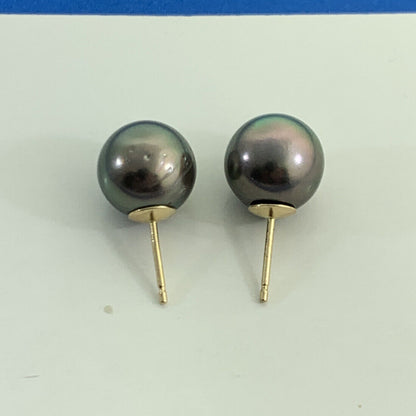 14K Yellow Gold Tahitian Pearl Solitaire Statement Stud Earrings 9.75mm