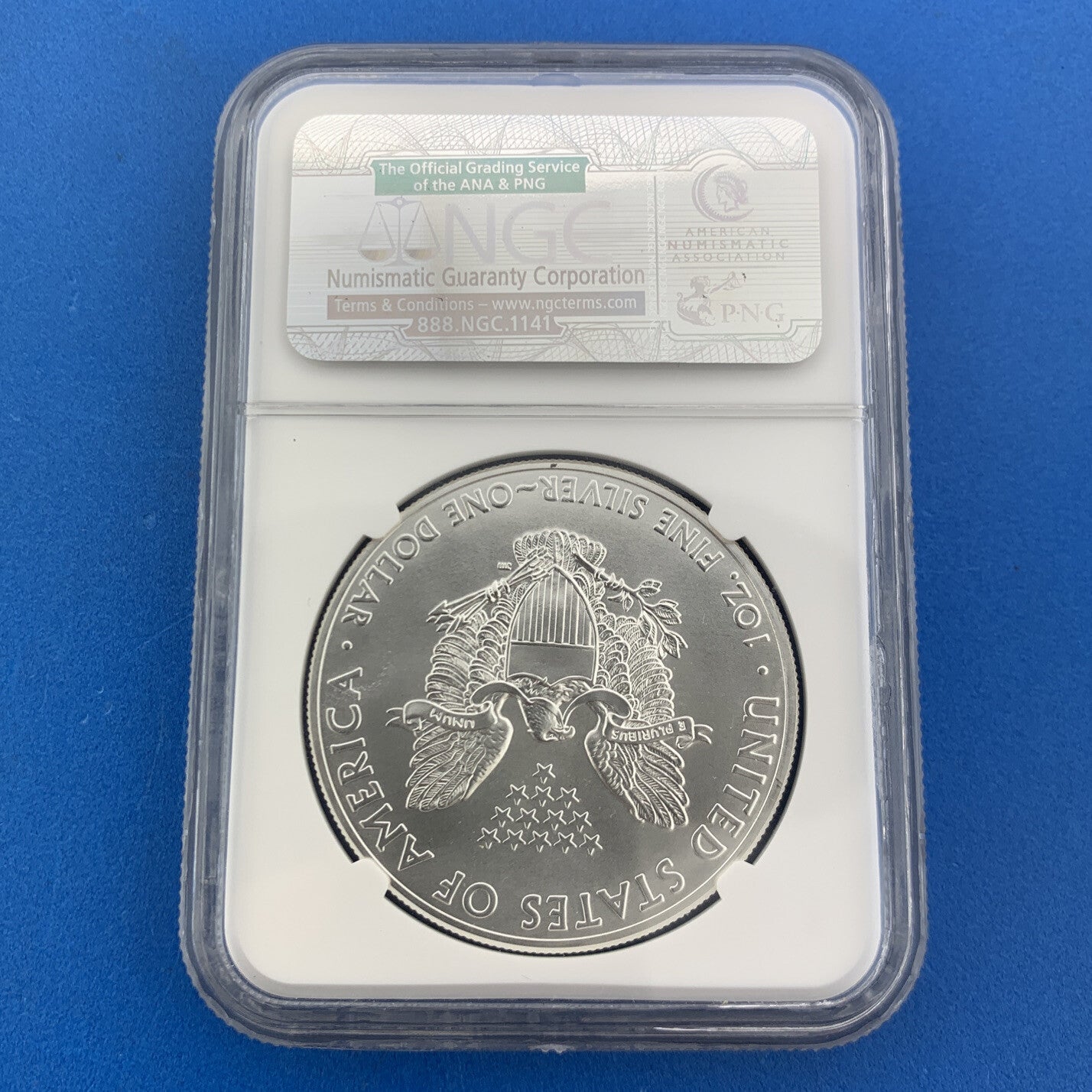 2015 American Silver Eagle 999 Fine 1 Oz Silver NGC MS69 First Release Eagle Lab