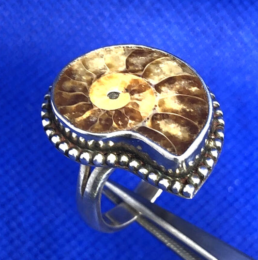 Vintage Ammonite 925 Sterling Silver Shell Fossil Size 5.5 Statement Ring