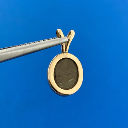 Lovely 14K Yellow Gold Black Star Sapphire Petite Charm Pendant