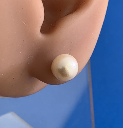 Designer 14K Yellow Gold White Pearl Solitaire Statement Stud Earrings 7.65mm