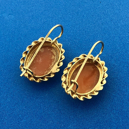 Gorgeous 14k Yellow Gold Orange Peach Cameo Shell French Wire Hook Earrings