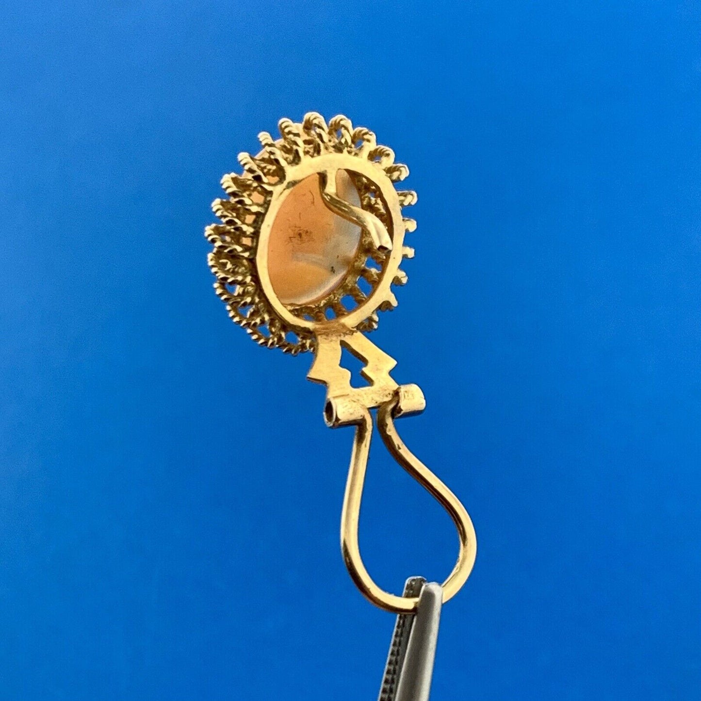 Gorgeous 14k Yellow Gold Orange Cameo Shell Rope Accent Omega Back Stud Earrings