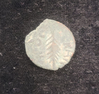 59-62 AD Porcius Festus Bronze Prutah of Judea Ancient Roman Coin *PRICED BY CAM