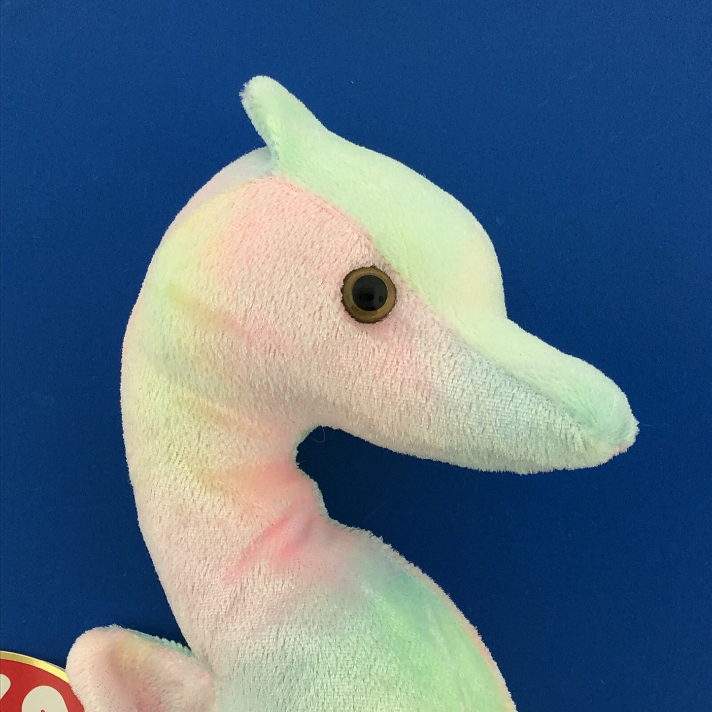 1999 TY Beanie Baby Neon The Seahorse DOB 04-18-1999 Rare Tag Error Mint - 4239