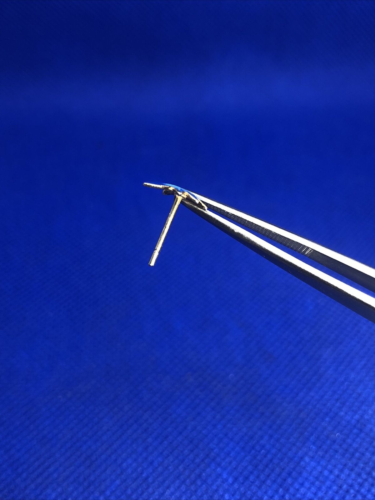 Estate Vermeil 925 Sterling Silver Blue Enamel Leaf Nature Stud Earrings