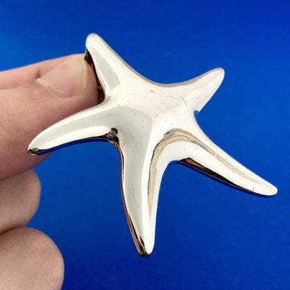 Silver Tone Moderist Star Starfish Beach Life Pendant Enhancer Drop Earrings Set