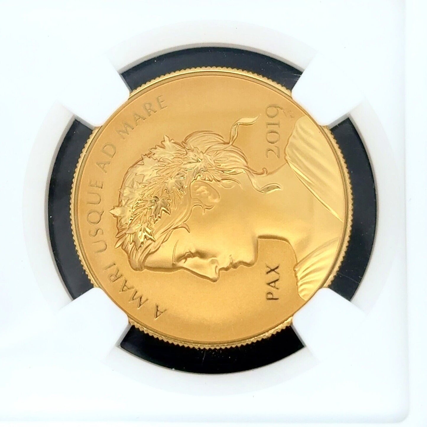 2019 1oz Canada Peace & Liberty High Relief NGC PF70 REV PF Official Gold Medal