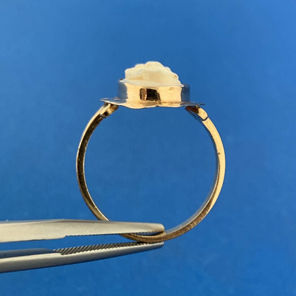 Gorgeous 14k Yellow Gold White Cameo Shell  Women's Bust Finger Ring Size 7