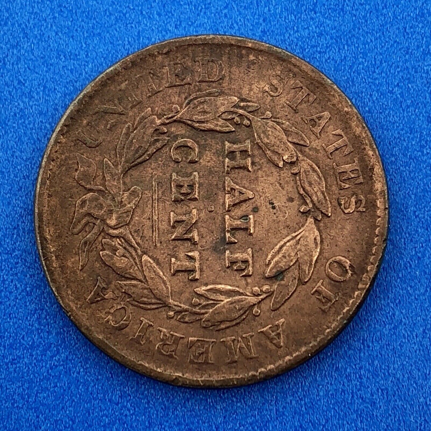 1828 P Classic Head Thirteen Stars Copper Half Cent Early US Copper XF Details