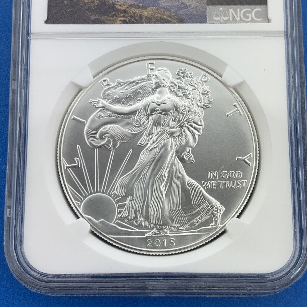 2015 American Silver Eagle 999 Fine 1 Oz Silver NGC MS69 First Release Eagle Lab