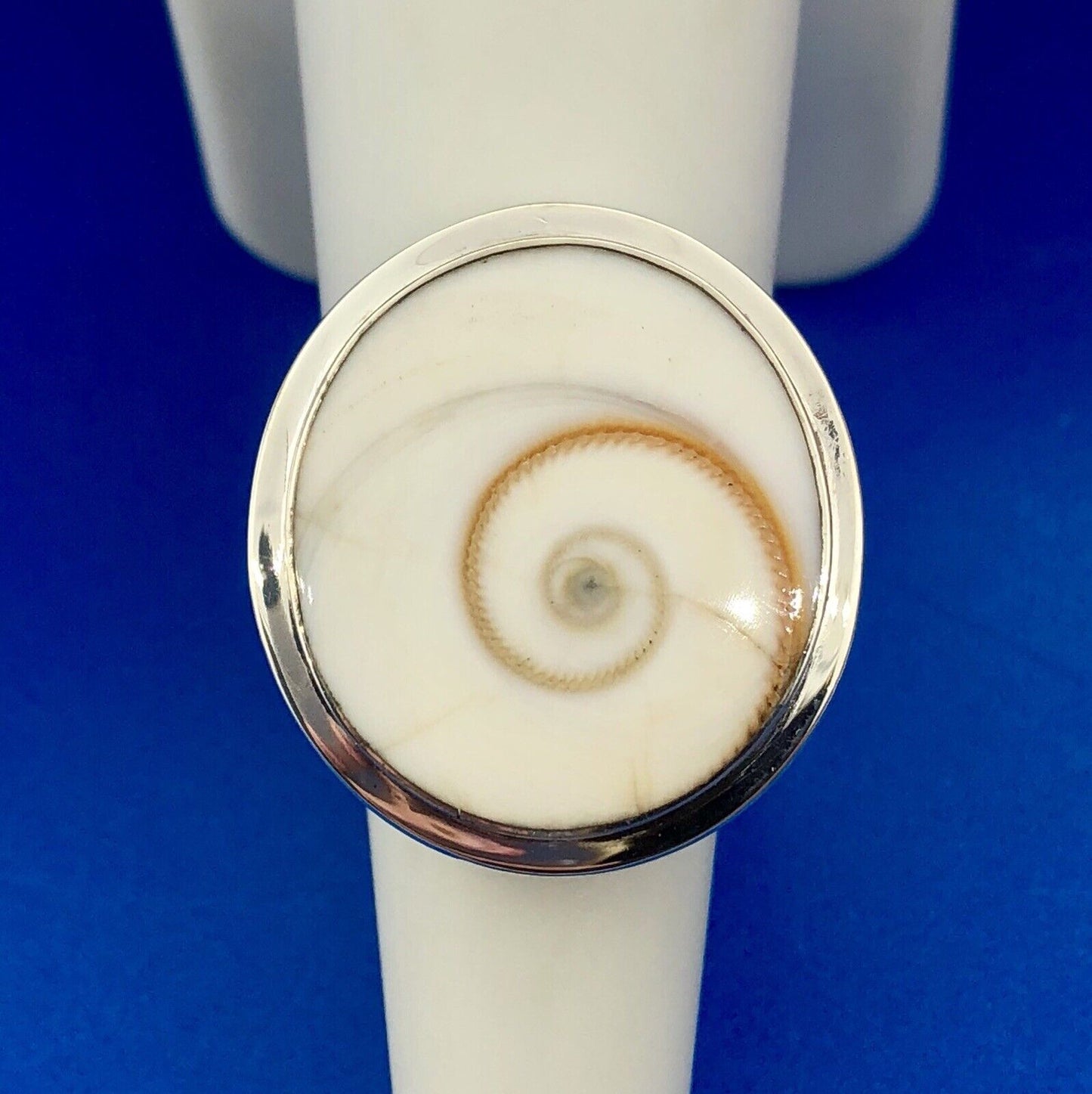 Designer Sterling Silver Natural Shiva Eye Snail Shell Protection Statement Ring