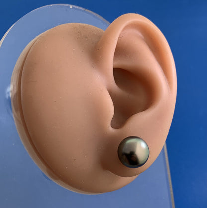 14K Yellow Gold Tahitian Pearl Solitaire Statement Stud Earrings 9.75mm