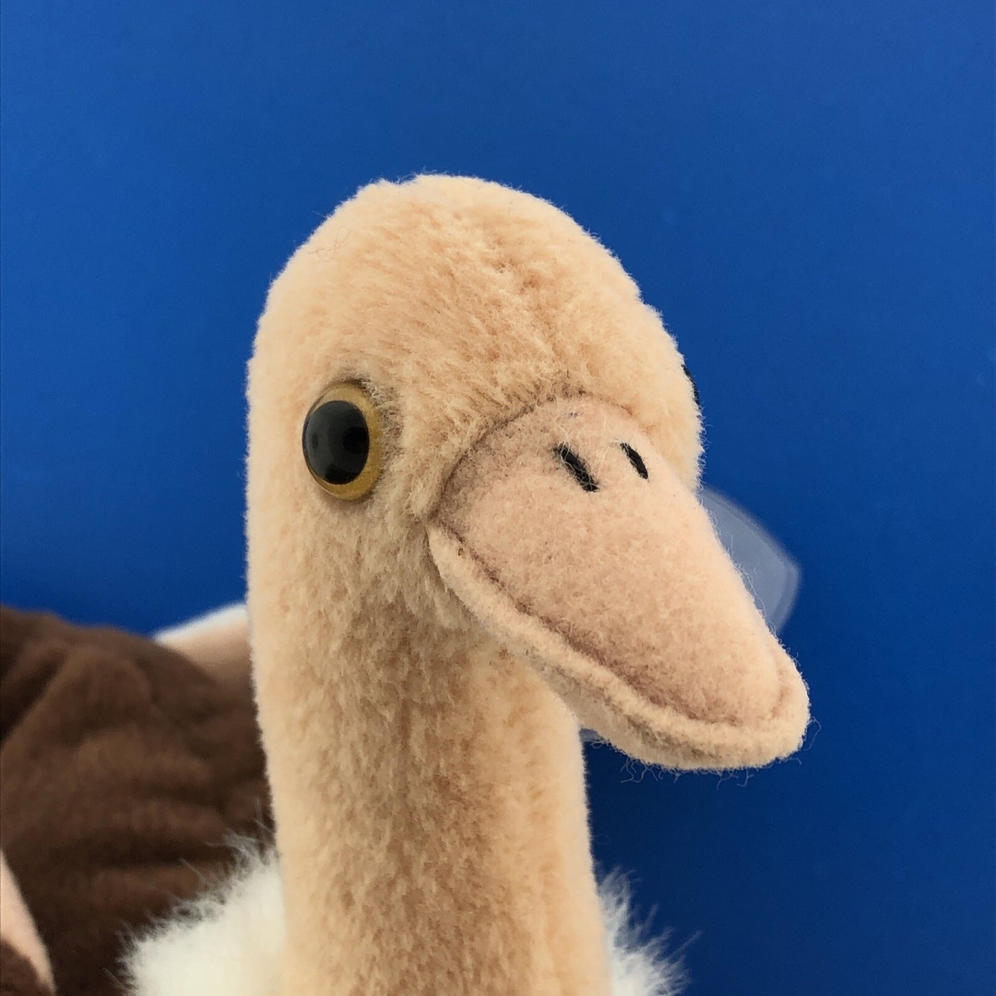 1997 TY Beanie Baby Stretch The Ostrich Near Mint Condition Retired Error- 4182
