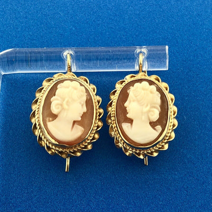 Gorgeous 14k Yellow Gold Orange Peach Cameo Shell French Wire Hook Earrings