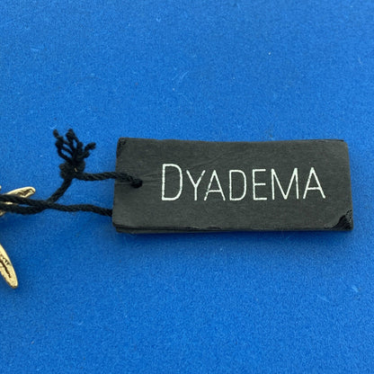 Designer Dyadema Italy 925 Sterling Silver Vermeil Cubic Zirconia Star Fish Ring