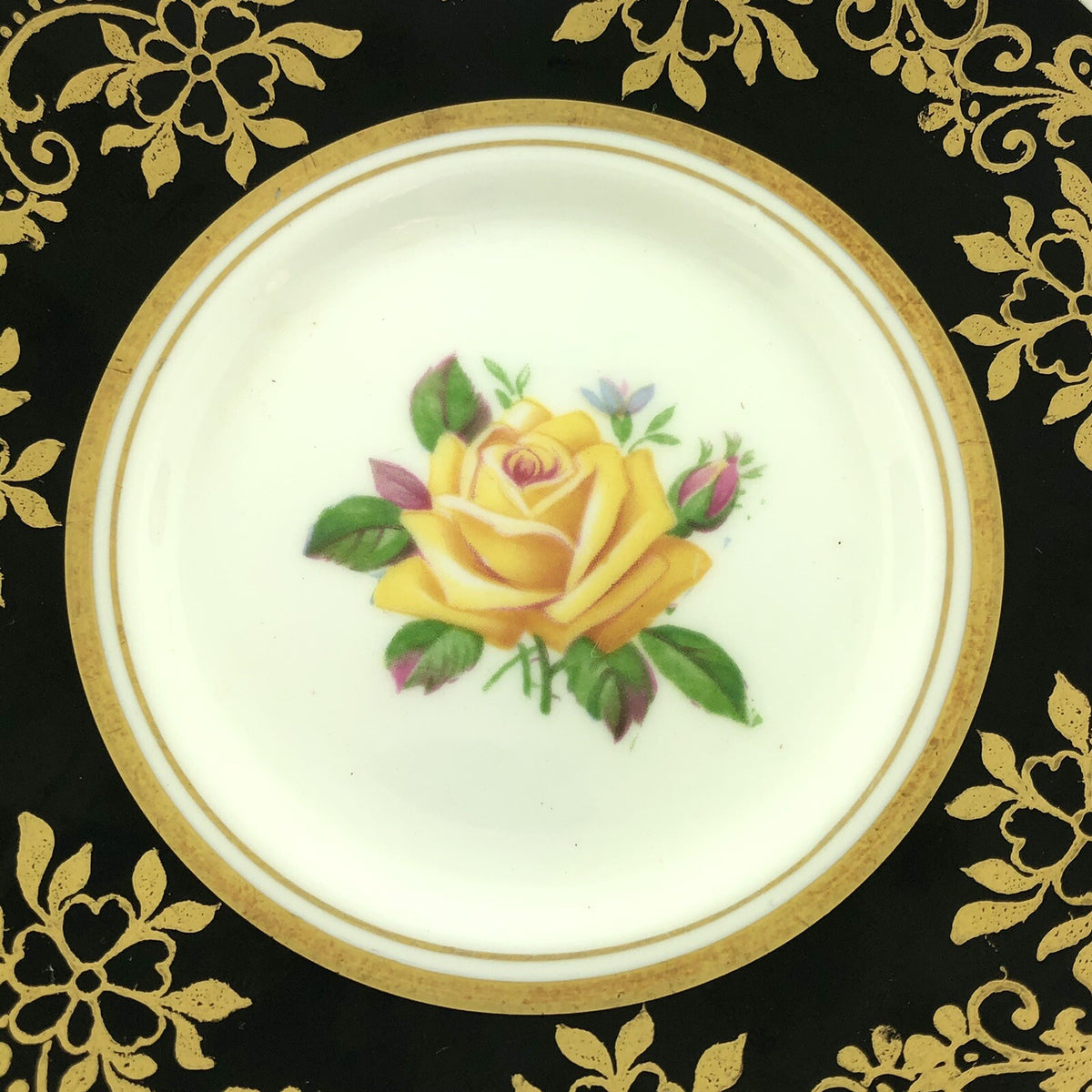 Royal Stafford English Bone China Yellow Rose Black Gold Floral Tea Cup/Saucer